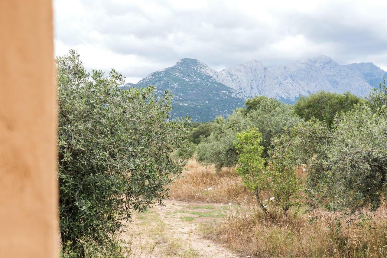 Penzion S'Ulumu Dorgali Exteriér fotografie
