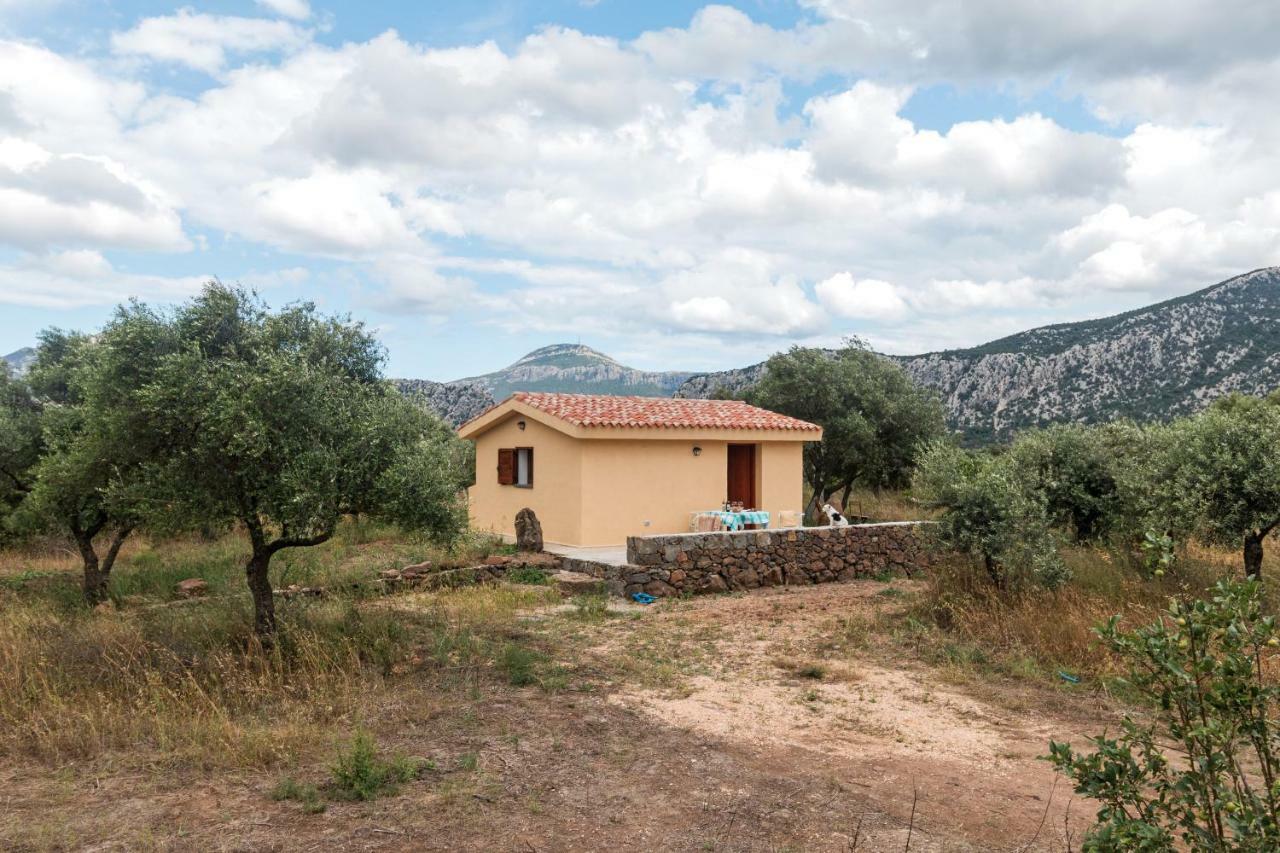 Penzion S'Ulumu Dorgali Exteriér fotografie
