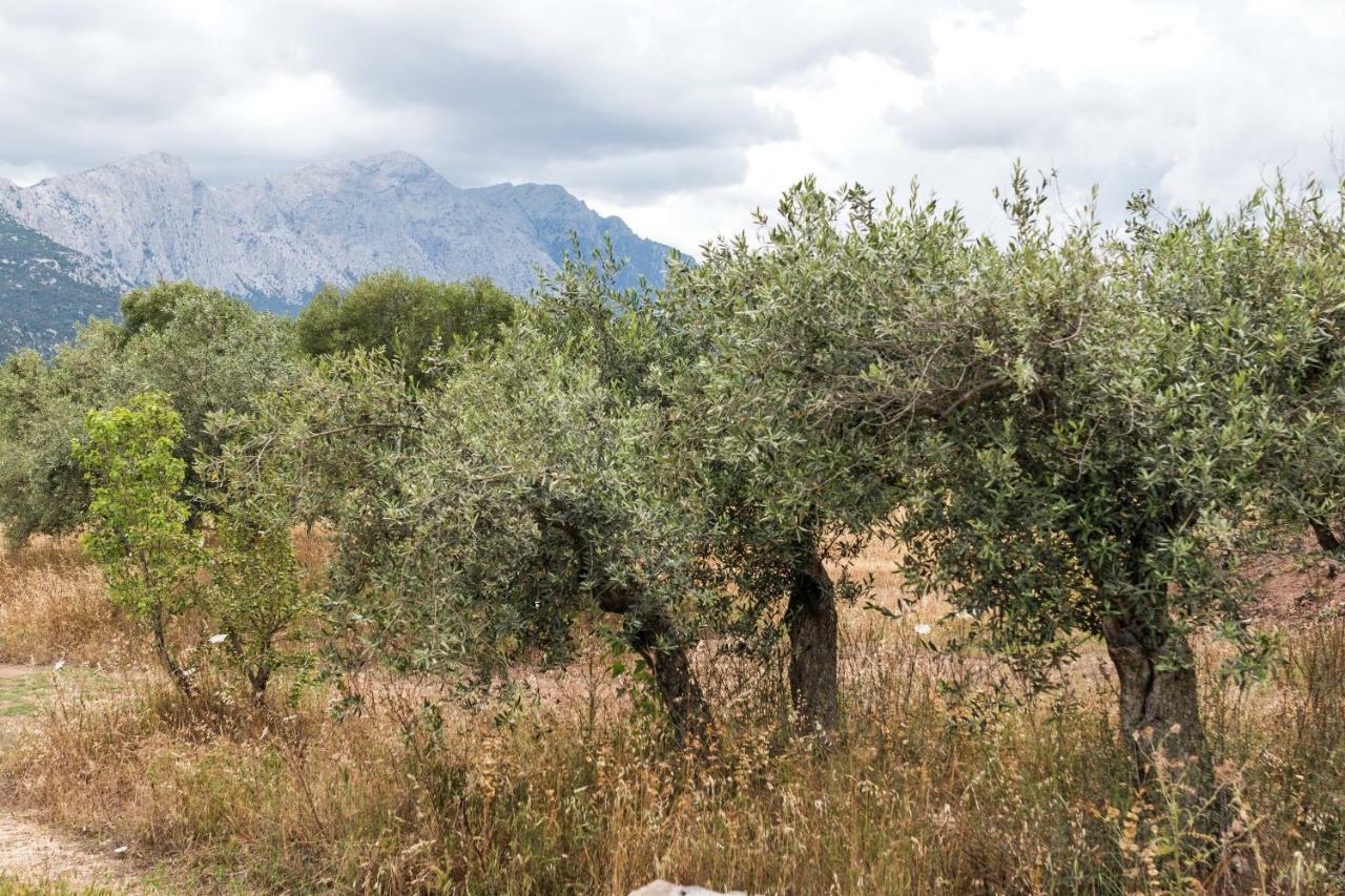 Penzion S'Ulumu Dorgali Exteriér fotografie