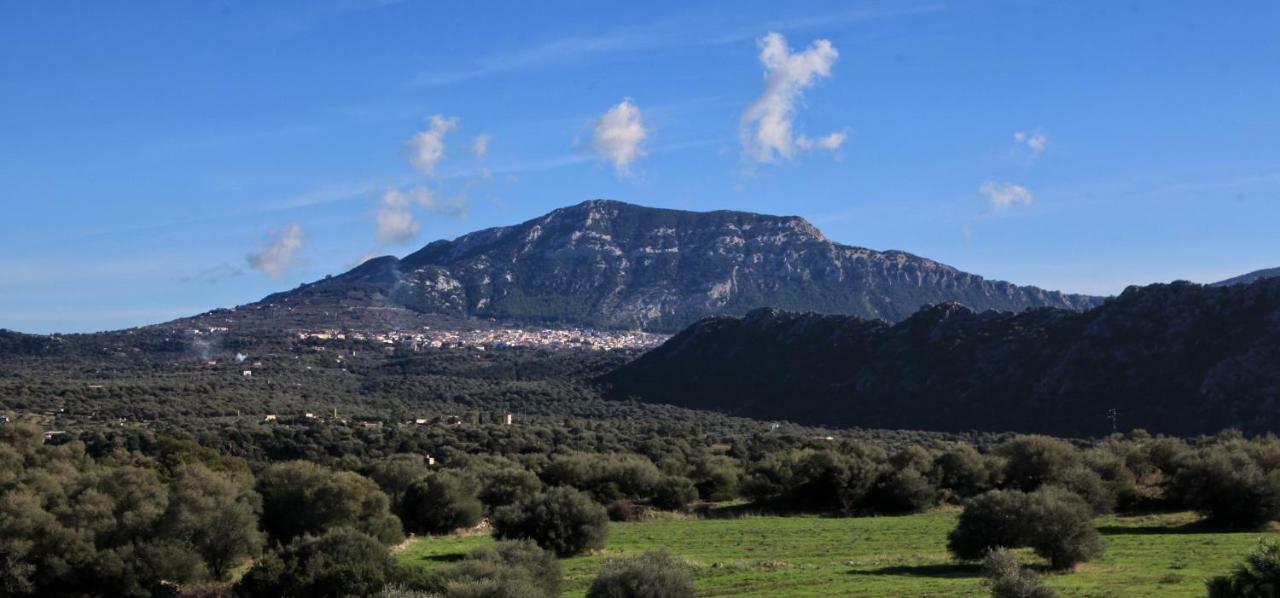 Penzion S'Ulumu Dorgali Exteriér fotografie