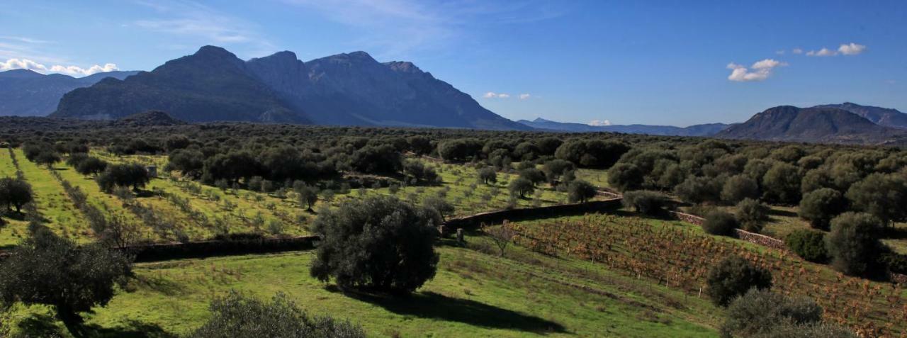 Penzion S'Ulumu Dorgali Exteriér fotografie